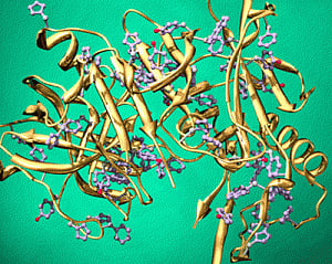 Study may unlock enzyme's role in various diseases
