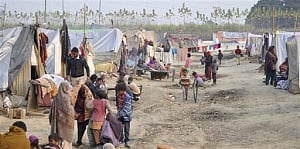 Cong,BJP trade barbs over report on leT trying to lure victims