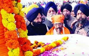 Inexperienced, but intentions pure: CM