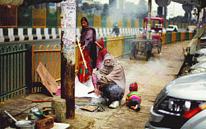 HC asks Govt to submit policy  on shelter for homeless