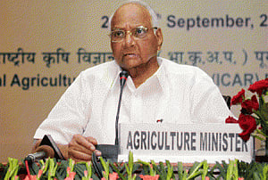 lS polls: Pawar sees no anti-UPA wave; says new voters crucial