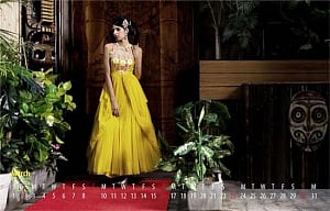 'limited Edition' IFFD Calendar 2014 launched with Glitz, Glamour and Fun