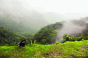 Western Ghats report: Turmoil in Kerala House