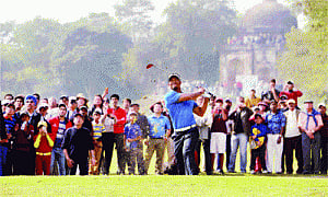 Delhi's tryst with Tiger