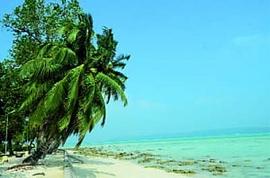 'Tourists can visit us all year round'