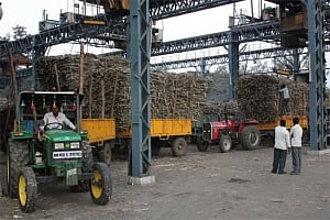 Coop sugar mills in Haryana procures over 14 lakh quintals