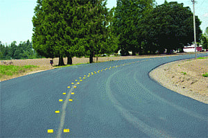 Road target hits speed bumps
