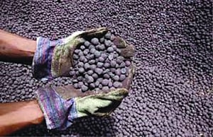 MinesMin bats for waiver in export duty on pellets, writes to FM