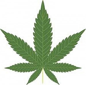 Marijuana may bring relief from anxiety