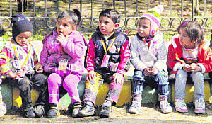 Nursery session  delayed as fresh  draw ordered