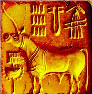 The riddle of the Unicorn