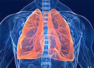 3D technique brings hope for lung regeneration