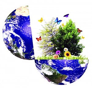 Need for CSR managers