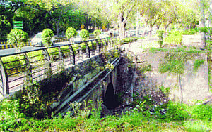 NDMC plans aerial adventure park in city