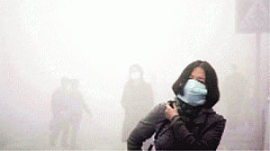 Air pollution killed 7 million people in 2012: WHO