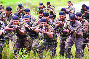 CRPF to 'guard' netas in Naxal-hit areas