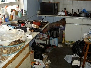 Beware! Kitchens may carry multi-drug resistant bacteria