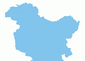 BJP replaces Srinagar candidate