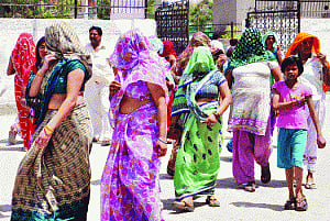 Can Elephant trample the lotus, Cycle in Gautam Buddh Nagar?