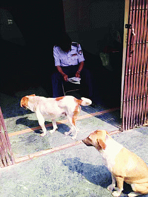 Why Govt hospitals have gone to the dogs