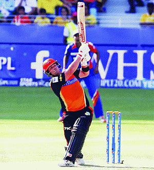 Finch hitter