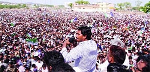 Seemandhra set for straight fight between YSRCP, BJP-TDP
