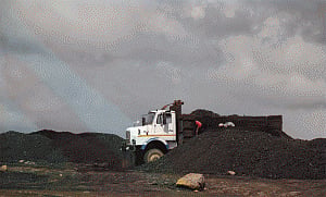 SC seeks fresh status report from CBI, ED in coal scam