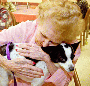 Can puppy love heal cancer?