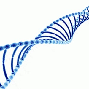 Genes decide if medicine will work for you or not