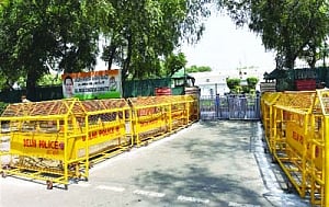 Win paints the town saffron