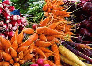 low-carb vegan diet reduces weight, heart disease risk