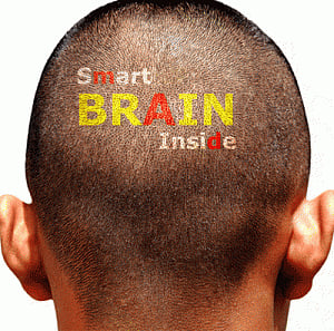 Early learning may keep brain cells alive