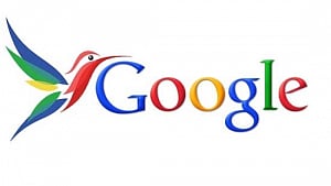 Google offers to 3D map Goa