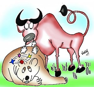 Sensex rises 467 pts; l&T zooms 6.40%