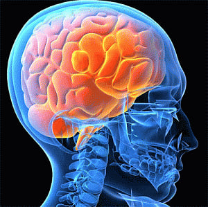 Brain 'noise' determines how you make decisions