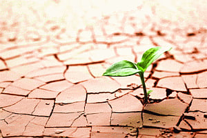 Dry run to drought