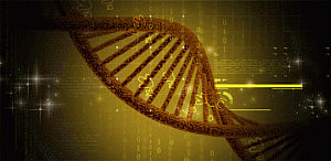 Genes affect betting decisions too