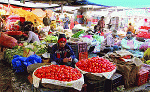 Farmers can sell produce directly in open market