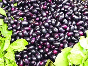 Purple magic