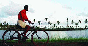 Monsoon weak: Kerala may face farm, power crisis