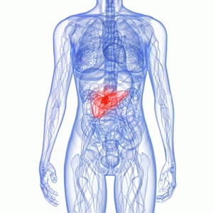 New target for treating pancreatic cancer