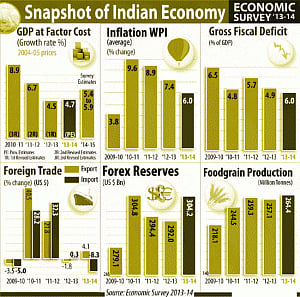 Economic Survey boosts expectation of bold Budget