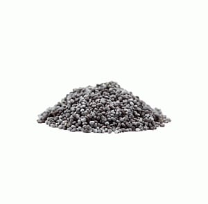 Indian in UAE denies using poppy seeds as drugs