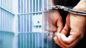Man jailed for elderly Indian-American man's death
