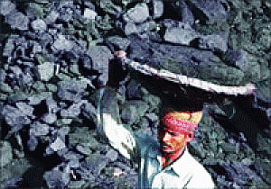 CBI may reopen 12 coal scam cases