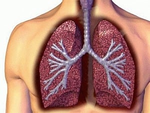 Gene that stops lung cancer spread found