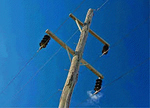 UP to give free power connections to 1.72 lakh families