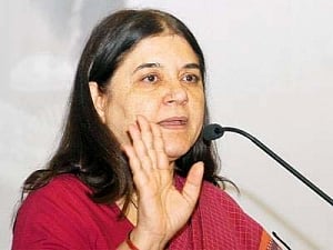 Government to simplify adoption process: Maneka Gandhi