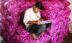 Notice on onion, potato stock limits put on hold