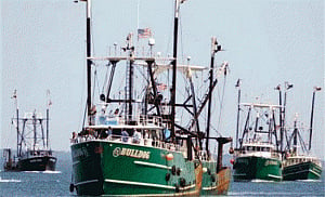 Sri lankan Navy arrests 50 Indian fishermen